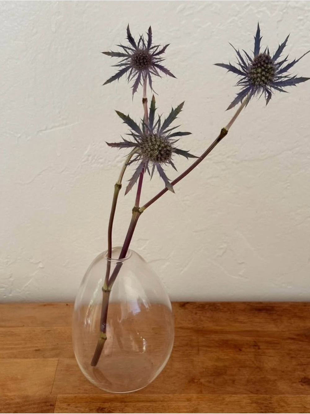 Organic Modern Glass Bud Vase from Zara Home